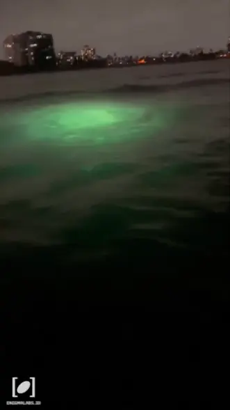 A video accompanying one of the reports sent to UFO logging app Enigma showed mysterious green lights moving beneath the surface of the ocean.