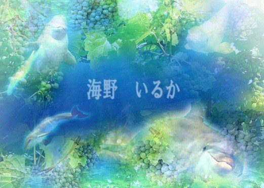【Mr. C讯息更新】2016年11月28日讯息【日本团队主持的Mr. C访谈节目】