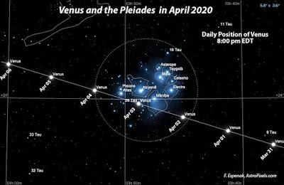 【Mr. C讯息更新】2020年4月2日讯息【Mr. C/蔷薇圣女团访谈和冥想活动的简短更新】